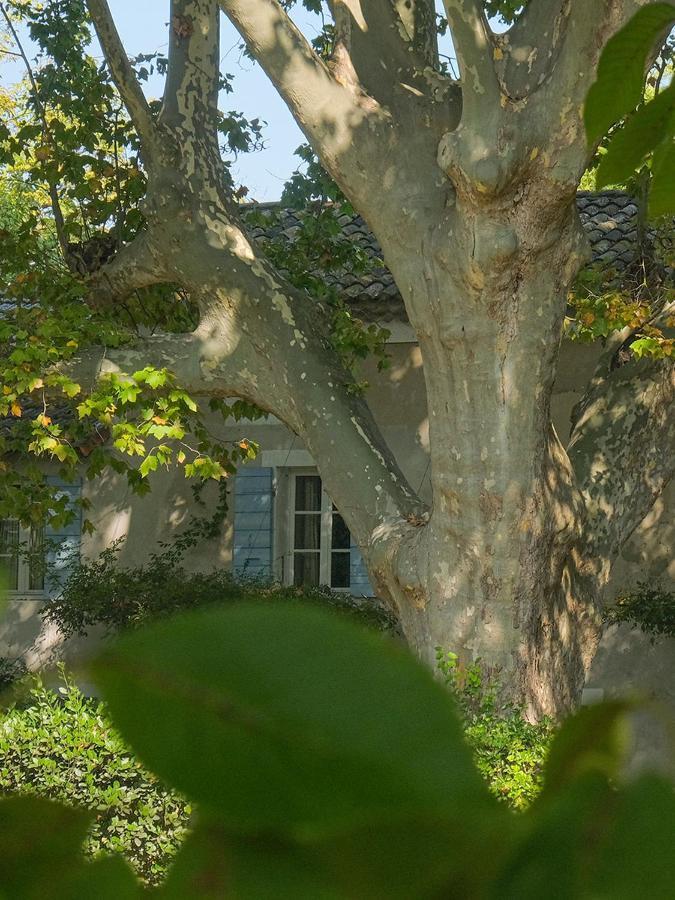Bed and Breakfast Montjoia Л'Иль-сюр-ла-Сорг Экстерьер фото